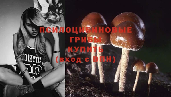 твердый Алексеевка